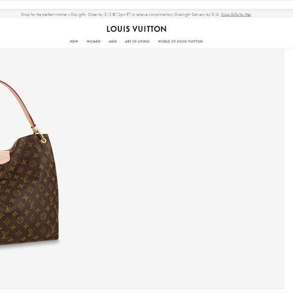 Louis Vuitton Graceful MM - Picture 11 of 15